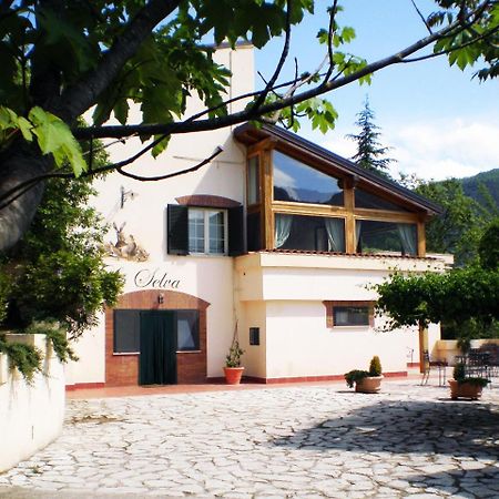 Agriturismo La Selva Ριέτι Εξωτερικό φωτογραφία